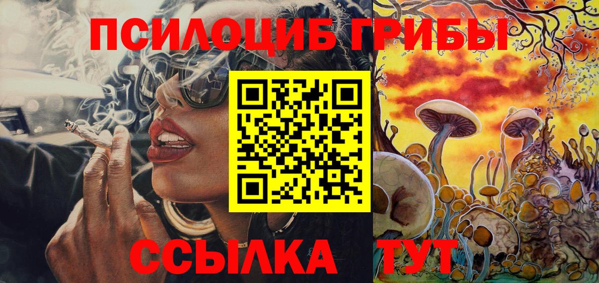 Псилоцибиновые грибы Psilocybine cubensis  Вход с VPN  Долгопрудный 