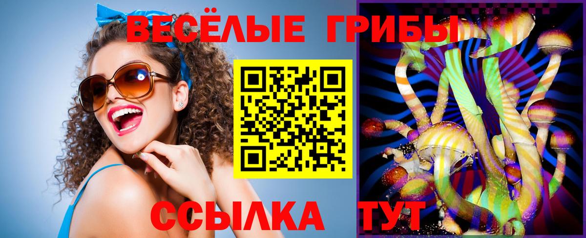 Галлюциногенные грибы GOLDEN TEACHER Долгопрудный